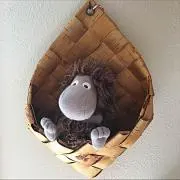 kotiの画像