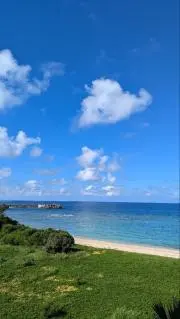 hui su様専用 食器棚 ホワイトウッド 幅90cm さいたま市引き取り