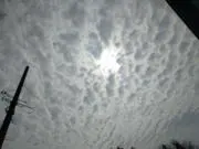 YTAの画像
