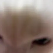 プロフィール確認の画像