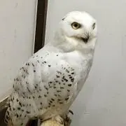 pm1212の画像