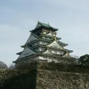 aiの画像