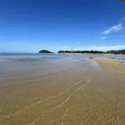 Gwuiiの画像