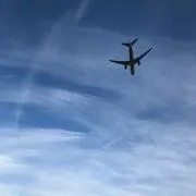 あるの画像