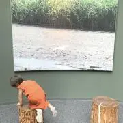 toiの画像