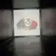 ももこの画像