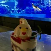 Hello☆の画像