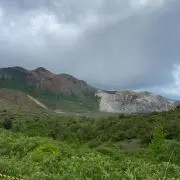ぽんの画像