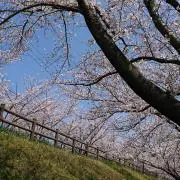 まっちんの画像
