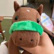 パカパカ~引越しの為格安出品中~の画像