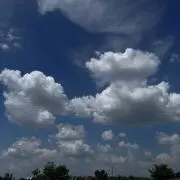 やまの画像