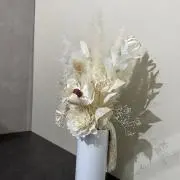 ちゃんちゃんまるの画像