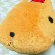 ＊かぴ＊の画像