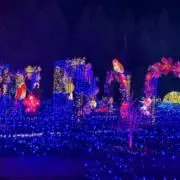 ショップの画像