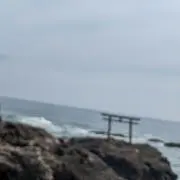 からあげの画像