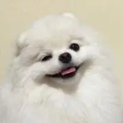 ♡