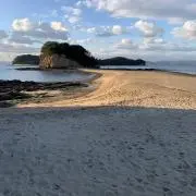 ももももの画像