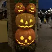 fuwaの画像