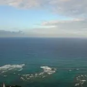 しーの画像