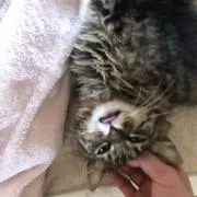 あいあいあーい