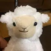 よう