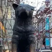 KAの画像