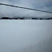 食べログの画像