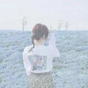 もんの画像