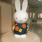 夢子　☆プロフ必ずお読みください☆の画像