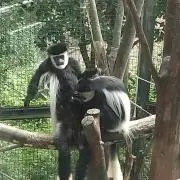 ななしの画像