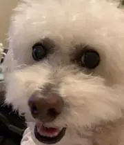 さんじゅうろう