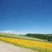 たーちんの画像