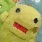 じゅんちゃんの画像