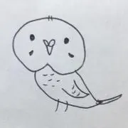 soraoの画像