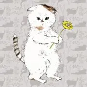 たま★断捨離中の画像