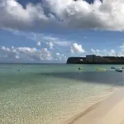 夢の旅路の画像