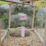 もち