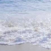 かに＊プロフ必読の画像