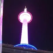 牡丹
