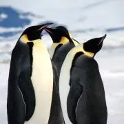 加藤の画像