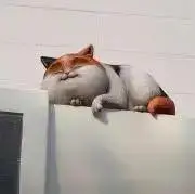 ネッコ