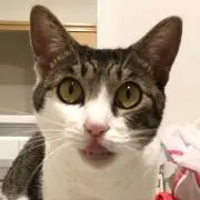 おいも