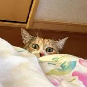 27~29日発送不可•*¨*•.¸¸☆の画像