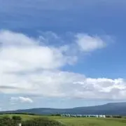 こはるの画像