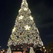 みなみの画像