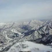 はむ