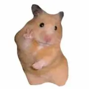 まんぷく
