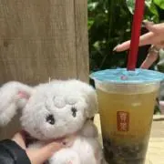 ベビちゃんの画像