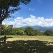 180の画像