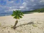 renの画像